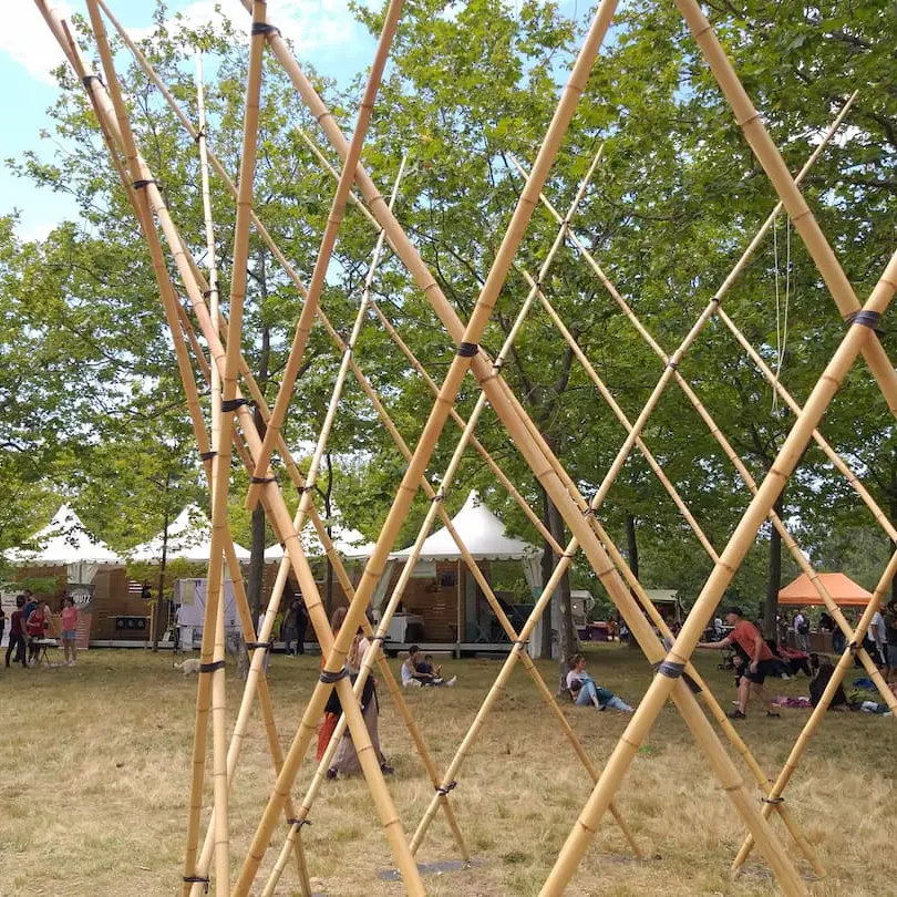 The Wild Fest